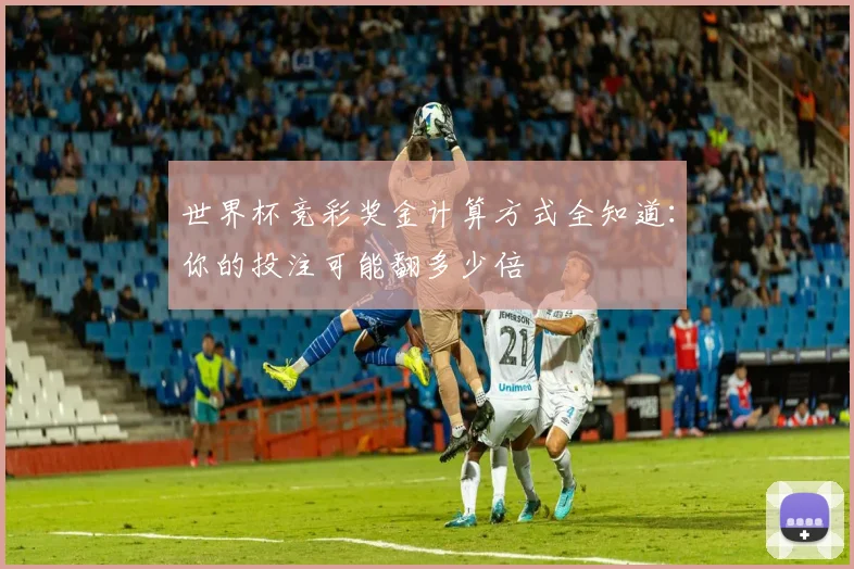 世界杯竞彩奖金计算方式全知道：你的投注可能翻多少倍