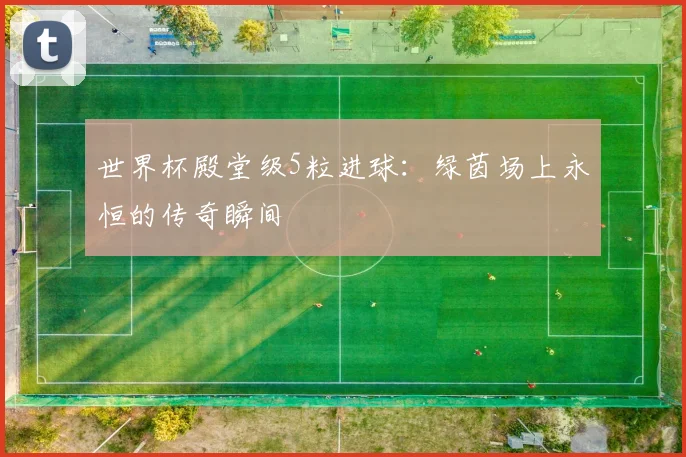 世界杯殿堂级5粒进球：绿茵场上永恒的传奇瞬间
